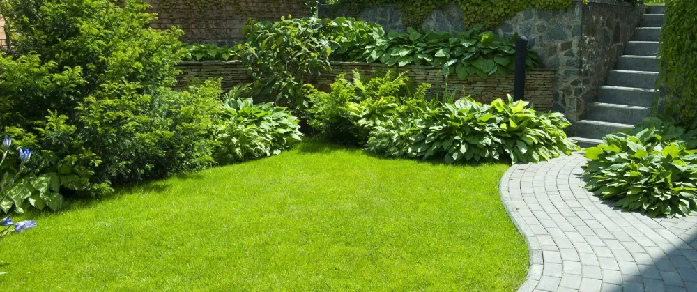 Entretien jardin